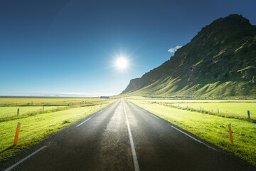 Wall Mural - sunny road in summer iceland