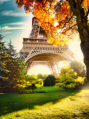 Wall Mural - autumn park in paris