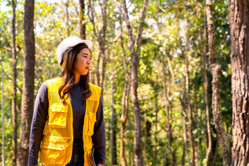 Female engineer working in forestry to build tourist attractions.