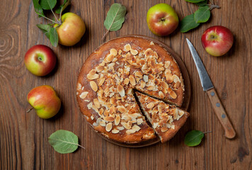 Sticker - apple cake (apple apfel kuchen)