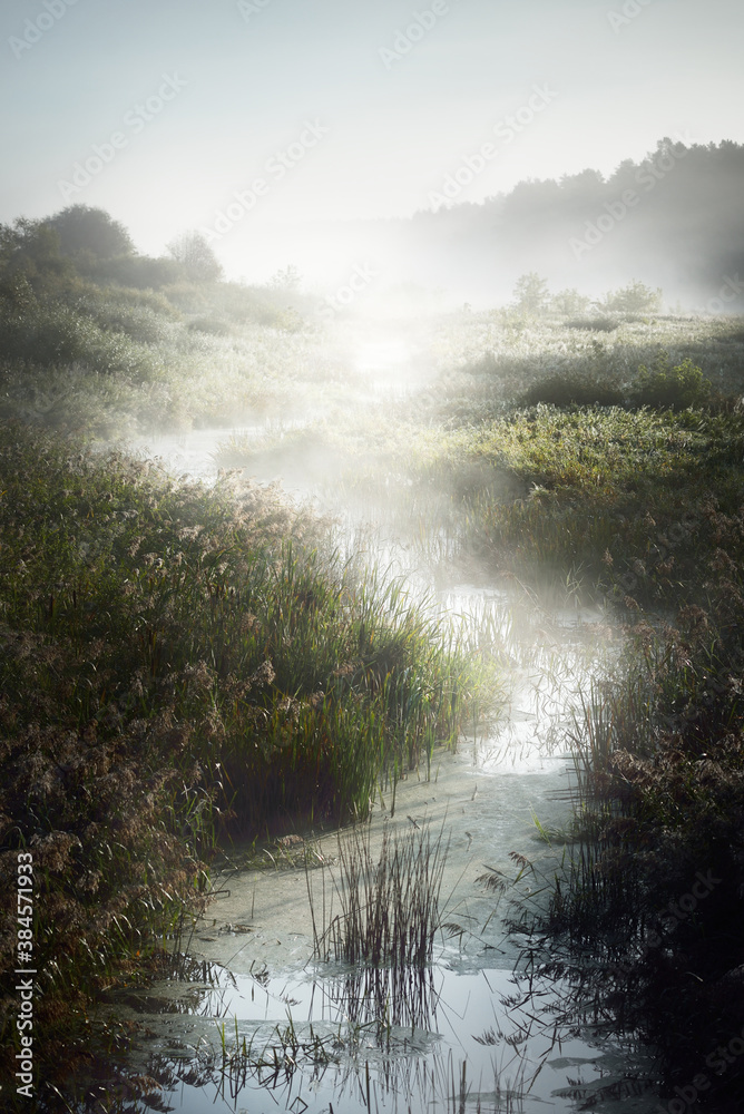 Picturesque scenery of a small river (bog) near the forest at sunrise. Morning fog, haze, sunbeams. Early autumn. Atmospheric landscape. Idyllic rural scene. Pure nature, ecology, environment - obrazy, fototapety, plakaty 