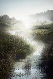 Fototapeta Sypialnia - Picturesque scenery of a small river (bog) near the forest at sunrise. Morning fog, haze, sunbeams. Early autumn. Atmospheric landscape. Idyllic rural scene. Pure nature, ecology, environment