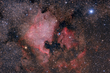 Wall Mural - North America and Pelican Nebulae