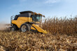 Farmer driving harvester combine vehicle through dried brown corn crop field in summer during harvest time