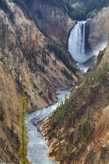 Wall Mural - Yellowstone canyon