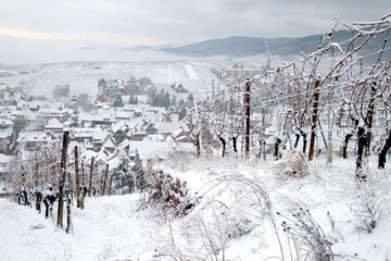 Canvas Print - Neige en Alsace