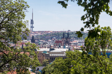 Prague old town sunny panorama view old town natural tree frame