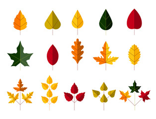 Wall Mural - Autumn leaves set, isolated on white background. Cartoon leaf collection in flat style. Vector illustration.