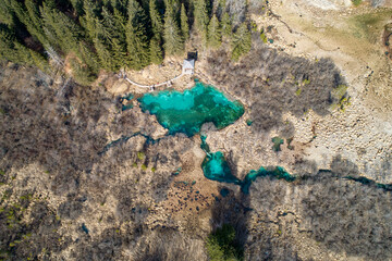 Wall Mural - Zelenci - Sava Dolinka river source or spring in green lake, Slovenia, Julian Alps