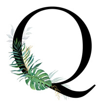 Tropical Watercolor Letter Q With Leaves On A White Background For Decoration.