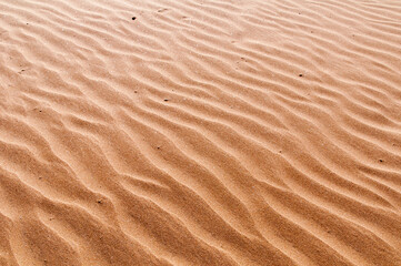  Golden beach sand shaped by the wind