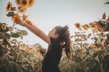 Girl Reaching For Sunflowers On A Fall Day In Florida At A Pumpkin Patch At A Farm Picking Pumpkins And Sunflowers Stock Photo 