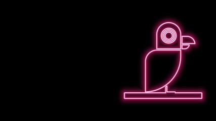 Sticker - Glowing neon line Pirate parrot icon isolated on black background. 4K Video motion graphic animation