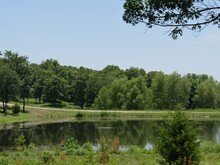 Lush Green Nature At A Lakeside At Chickasaw National Recreation Area In Davis, Oklahoma