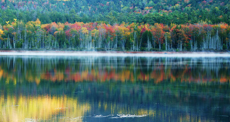 Wall Mural -  landscape of morning lake with autumn forest and fog