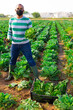 © JackF - Male farmer in protective mask storing boxes with cabbage on the field