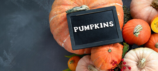 Wall Mural - Assortment of raw pumpkins on grey background