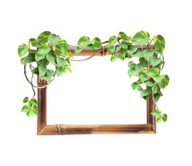 Sticker - Vintage bamboo frame with liana branches and tropical leaves