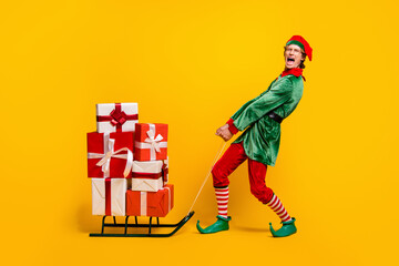 Canvas Print - Full length body size view of his he nice attractive overhelmed funny guy elf carrying heavy giftboxes on sledge yelling isolated over bright vivid shine vibrant yellow color background