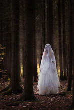 A Ghost Bride Girl In A Long White Dress And A Veil Stands In A Gloomy Dark Forest.
