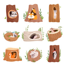 Holes In Tree. Home Hollow For Wild Animals Trunk Leaves Treetops Birds And Squirrel Vector Characters. Illustration Hollow Tree In Forest, Trunk Hollowed