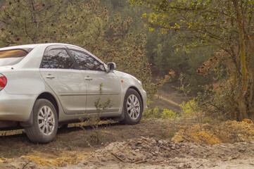 Car in the forest, perspective is visible, soft focus