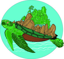 Turtle Island In The Sea 