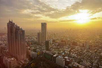 Wall Mural - sunset over the city