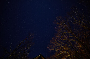 Canvas Print - night sky with stars