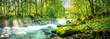 Schöner Bach Wald Panorama Sonnenstrahlen in Österreich Landschaft Natur Moos Fluss Fels Hallstatt Berg Alpen / Beautiful Brook Panorama Sunbeams in Austria Landscape Nature Moss River Rock Stone 