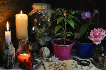 Mysterious still life with burning candles and plants in pot on witch table.