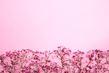 Canvas Print - beautiful baby's breath border on the Romantic pink background 
