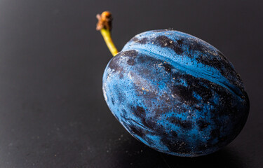 Wall Mural - Close up of one plum fruit with copy space