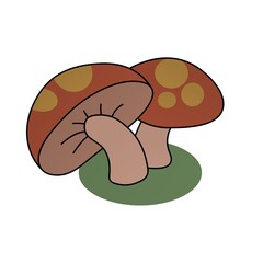 Wall Mural - Illustration of Beautiful Brown Mushrooms, Flat Design