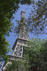 Eiffel tower through foliage