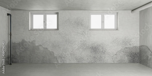 Fotografía Mold and moisture after water damage in the basement