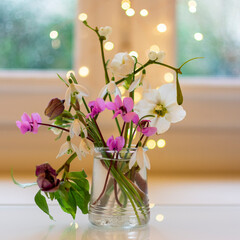 Wall Mural - small bouquet of hellebore and snowdrops in glass pot with bokeh