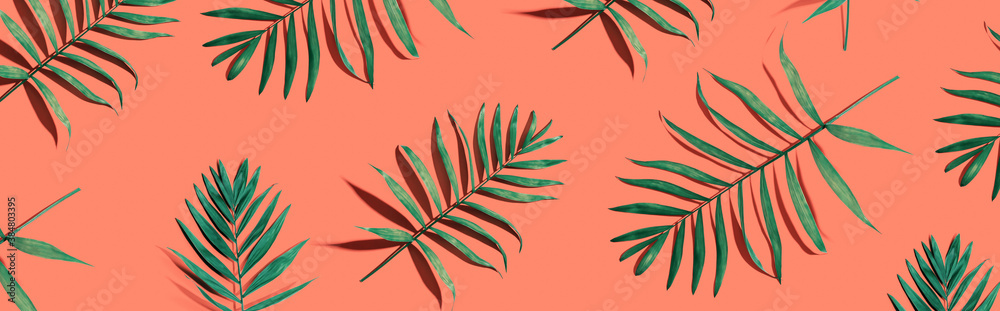 Tropical palm leaves from above - flat lay - obrazy, fototapety, plakaty 