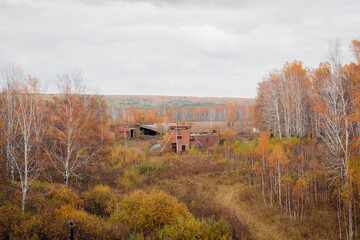 Wall Mural - Beautiful autumn forest landscape in cloudy weather	
