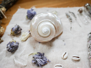 Wall Mural - Altar to perform rituals with big white shell, dried flowers and crystals