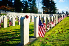 American Flags On Cemetery