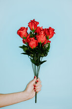 Woman Hand Holding A Fake Red Roses Bouquet