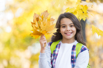 happy teenage child playing with fallen maple leaves in autumn forest with beautiful seasonal nature carry school bag, school time