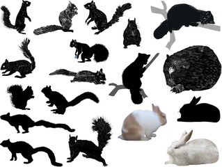 Sticker - set of black rodents isolated on white