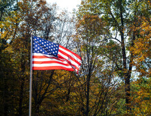 American Flag Against Trees In The Fall