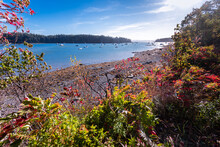 Autumn Colors Light Up The Shoreline Of The Ocean In A Cove Near Sorrento, Maine And Acadia National Park