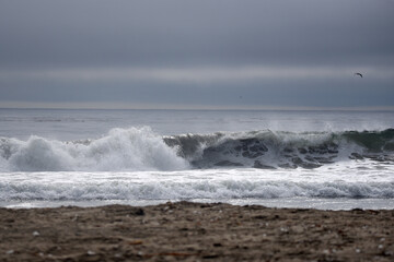 Wall Mural - waves on the beach