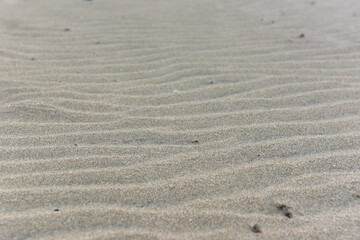 Wall Mural - sand ripples on the beach