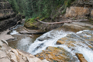 Wall Mural - Ousel Falls Park Trail in Custer Gallatin National Forest, Montana. USA. Back to Nature concept.