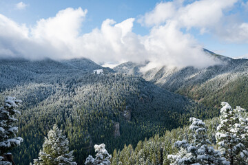 Wall Mural - Storm Castle Peak trail in Custer Gallatin National Forest, Montana. USA. Back to Nature concept.